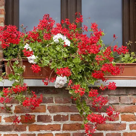 La Récré De 3* Bauffe